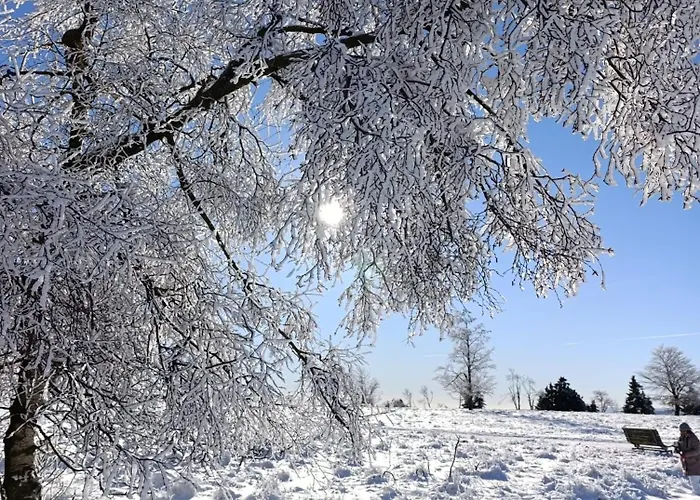 Momage Dichtbij Skiliften, Skiverhuur En Bikepark! وينتربرغ