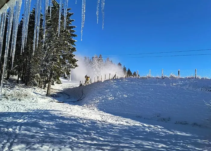 Momage Dichtbij Skiliften, Skiverhuur En Bikepark! * وينتربرغ